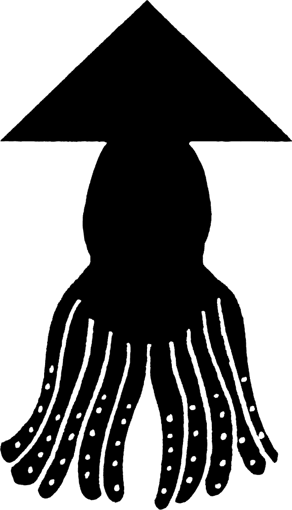 エンドーのげそ天